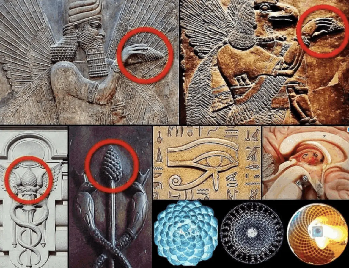 what is Shifting Vibrations